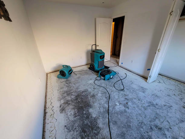 Best Local water damage restoration  in Wilmington, OH