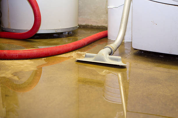Best Water damage restoration process  in Wilmington, OH