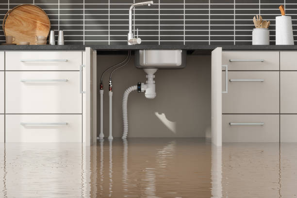 Best Ceiling water damage repair  in Wilmington, OH