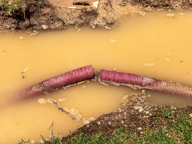 Best Mold removal after water damage  in Wilmington, OH