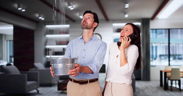 Best Ceiling water damage repair  in Wilmington, OH